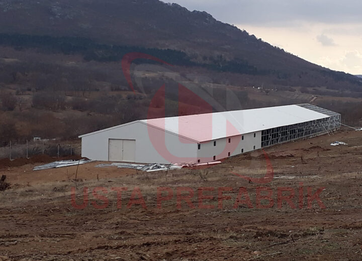 981 m² Tavuk Çiftliği-1